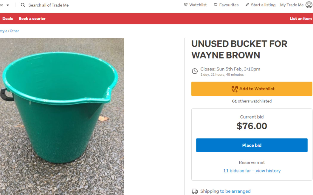 The Panel The Unused Bucket for Wayne Brown on TradeMe RNZ