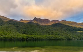 Two children found after going missing in Southland bush