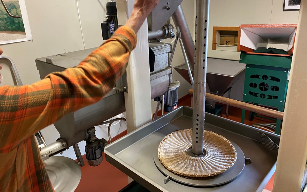 Olives are pressed within three to five hours after being picked in this traditional press.