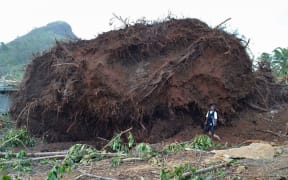 A man stands next to the upturned roots of a tree toppled during storms brought on by Super Typhoon Maysak on the island of Weno in the Micronesian state of Chuuk. Federated States of Micronesia.