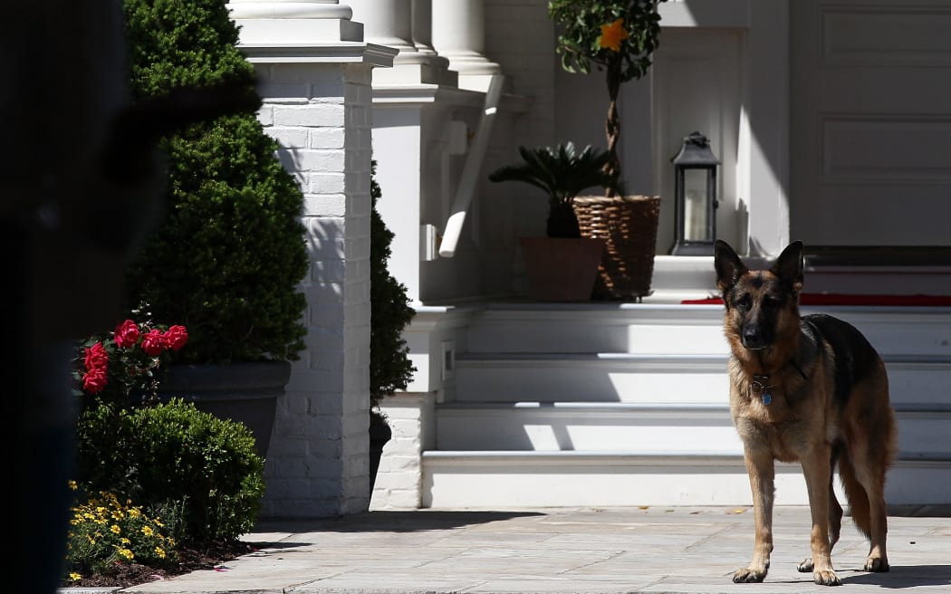 Joe Biden's dog, Champ, stands during a speech at the Naval Observatory May 10, 2012 in Washington, DC.