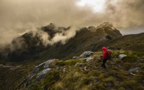 A tramper in the Paparoa Range, above Westport, walks between the the Paparoa Wilderness Area and an area of stewardship land. Conservation land makes up about 84 percent of the West Coast's total area.