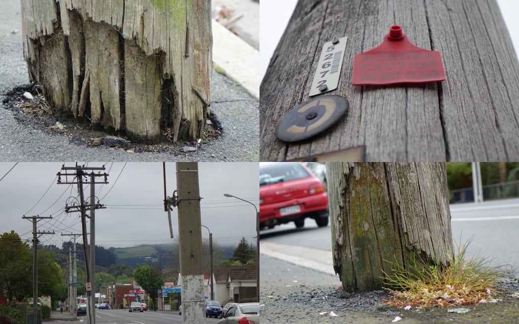 Thousands of rotting power poles are due for replacement in Otago.
