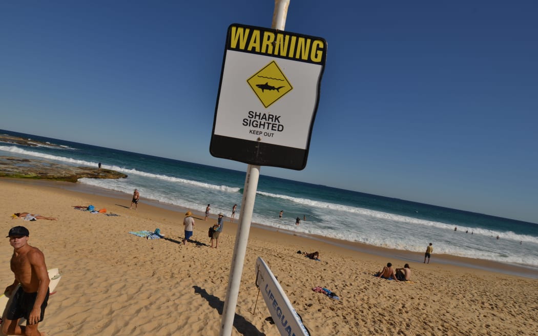 Warning signs have gone up along a 15km stretch of NSW coast after the shark attack which killed a surfer at Ballina