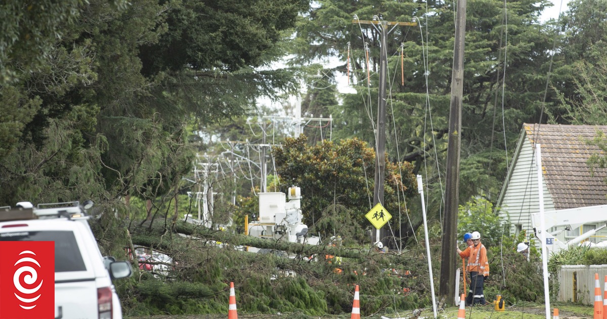 ‘It could have been a lot worse’ – Western Bay mayor James Denyer