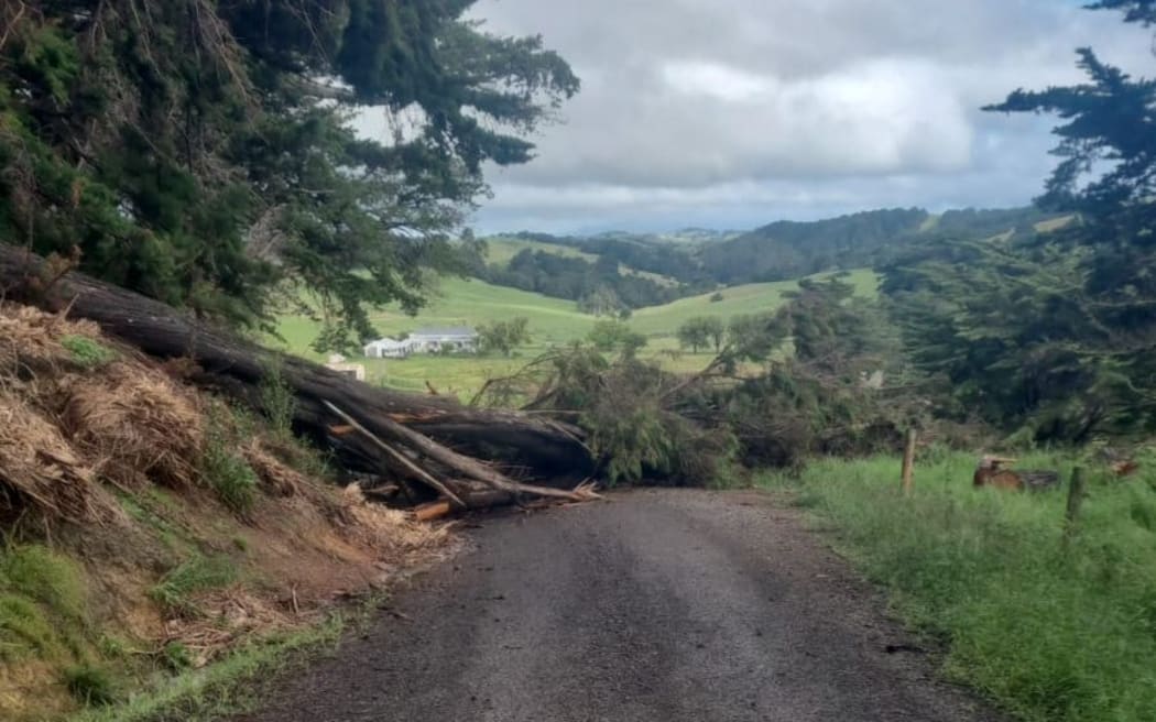 Oparakau Road in Kaipara is closed due to a fallen tree.