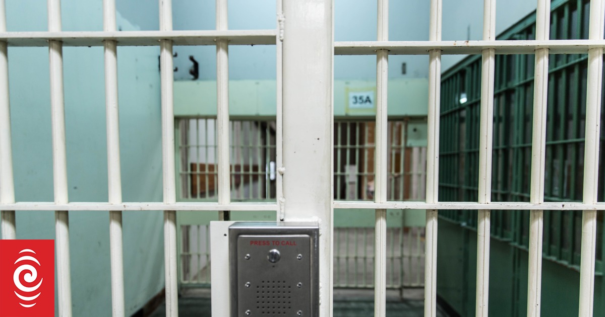 'Unsustainable demand' - Police look to take fewer people into remand custody - Vimarsana News