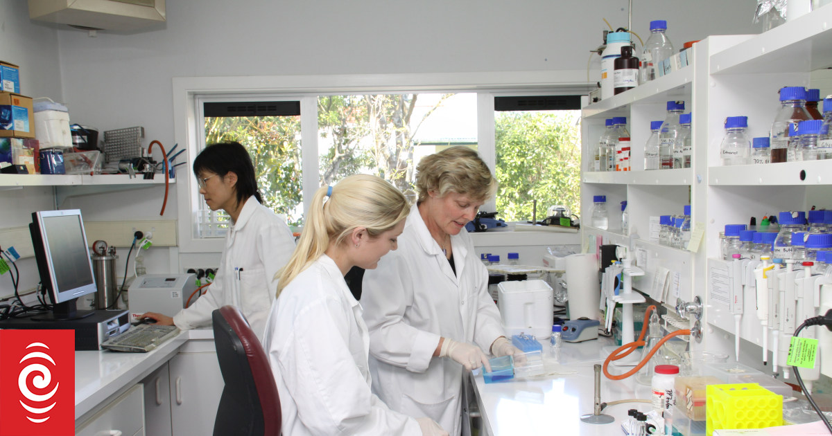 Millions invested to progress methane vaccine for livestock