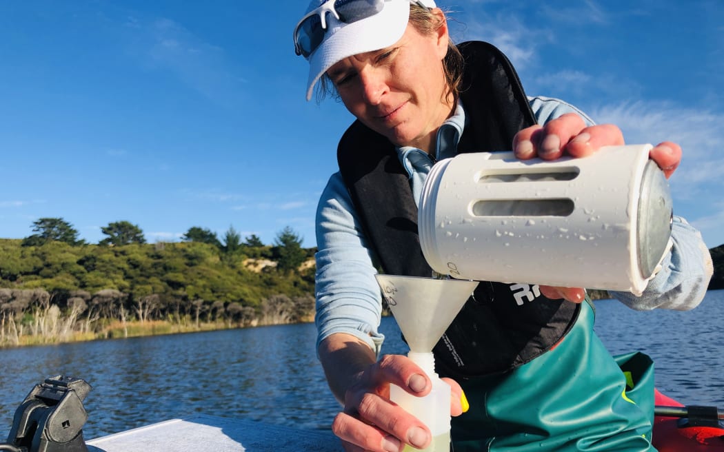 Cawthron Research Scientist Susie Wood at Lake Wai Raupo - Northland.