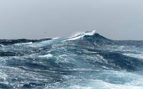 Waves and seagulls in the Northwest Passage