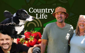 Summer Series: Country Life 23 December