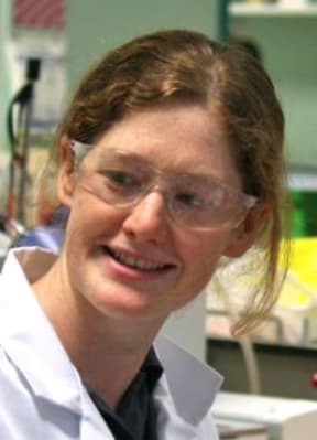 Dr. Nicola Gaston, School of Chemical and Physical Sciences, Victoria University