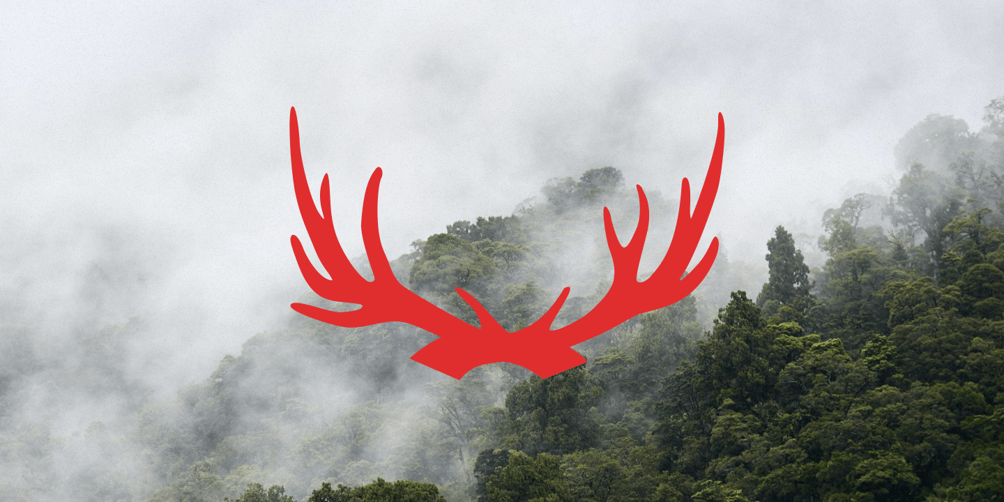 Graphic for Deer Wars
