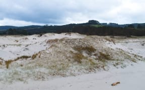 Pakiri Beach sand dunes