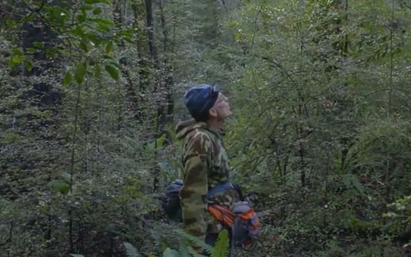 Ornithologist Rhys Buckingham in his search for the South Island kōkako.