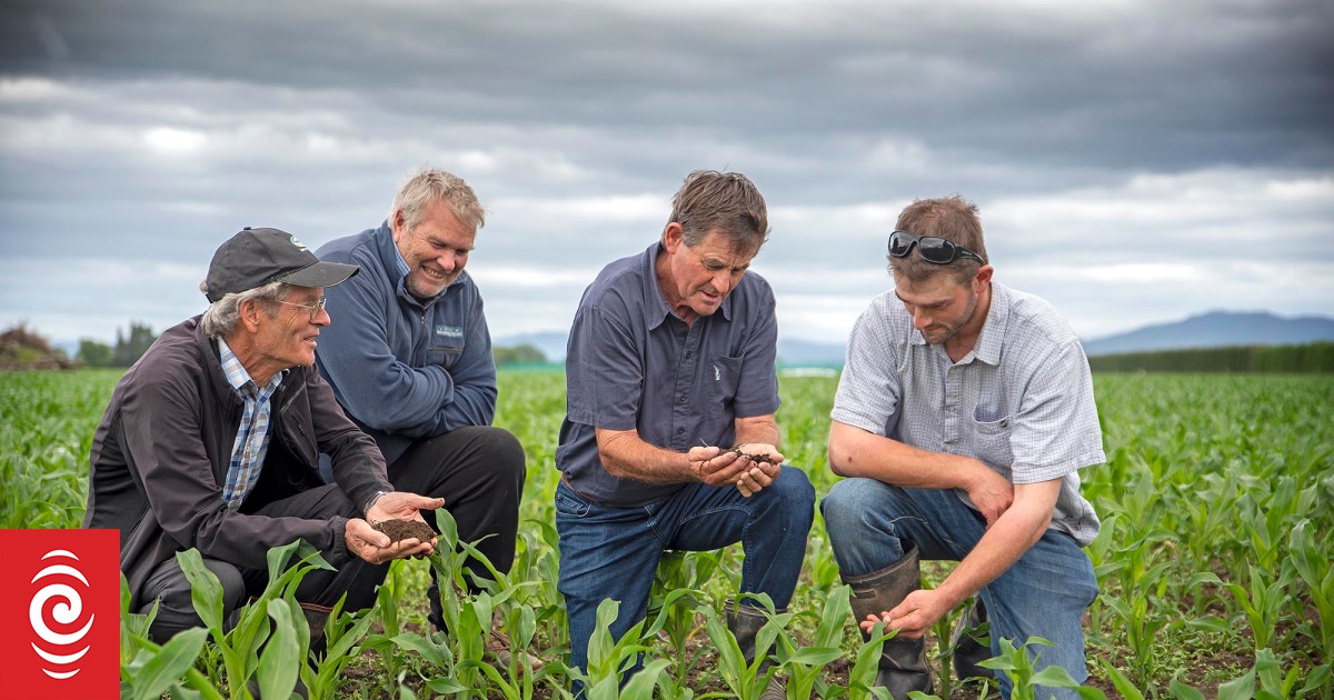 Solar farm a waste of elite soil – Edgecumbe farmers - Vimarsana News