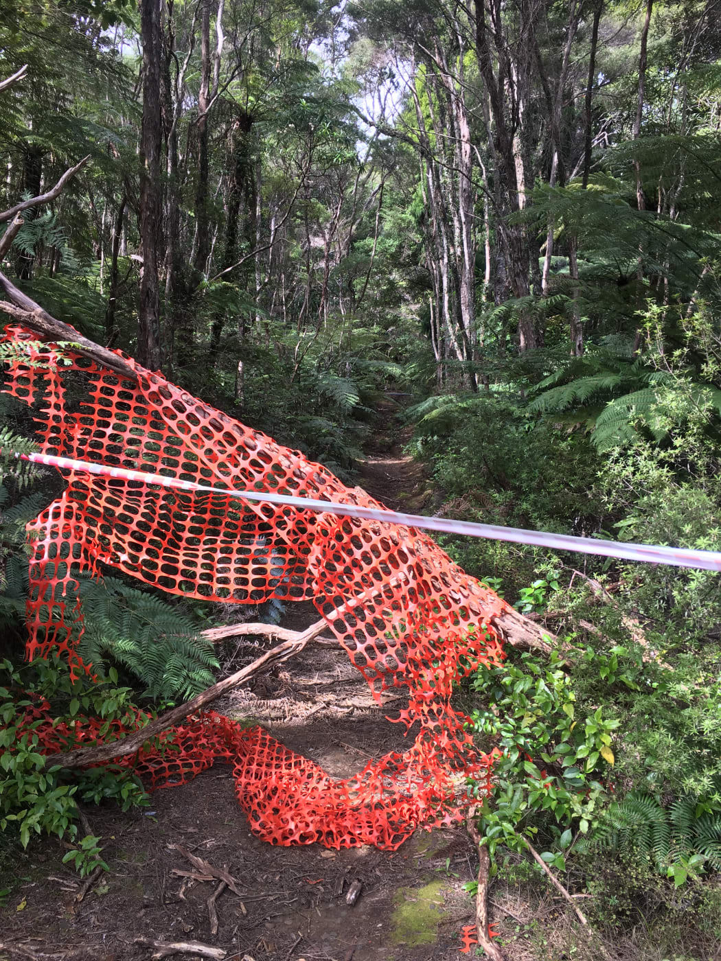 Protect our Kauri says this is an example of poor barrier to a closed track.