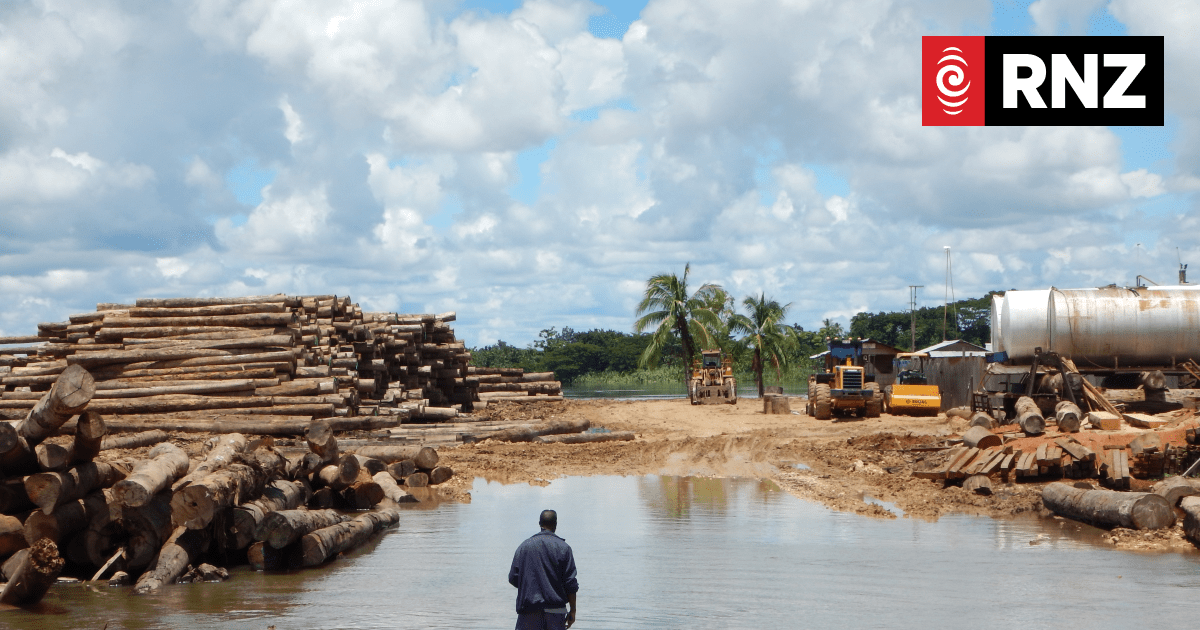 Campaigners call on PNG govt to act on destructive logging - Vimarsana News