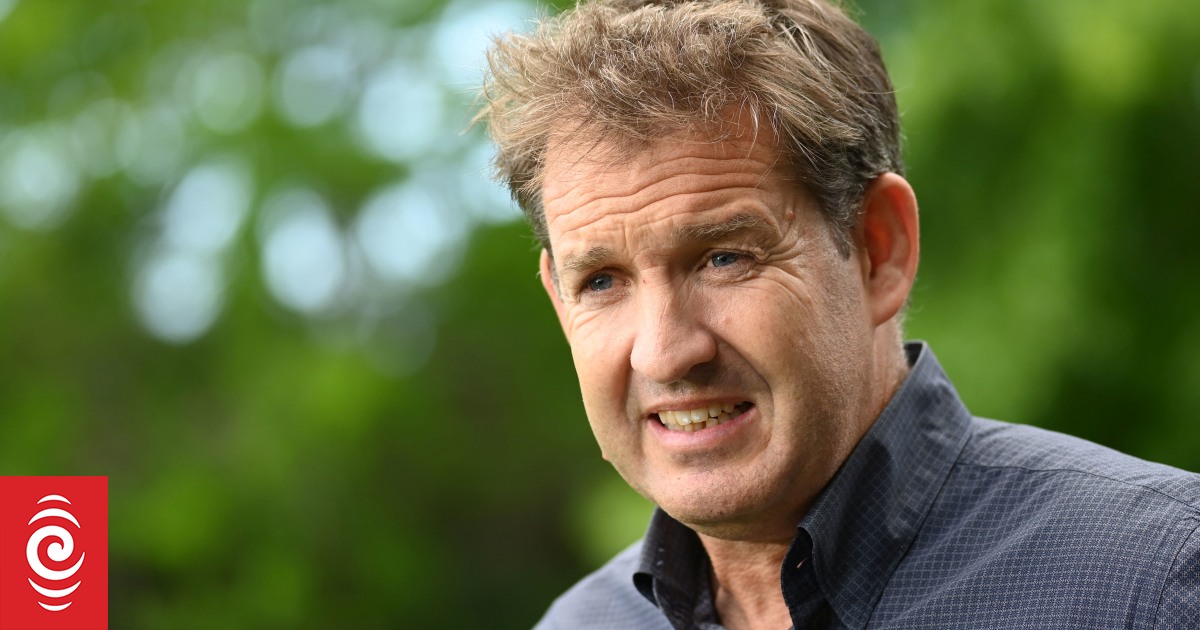 New Zealand Rugby condemns referee abuse - Vimarsana News
