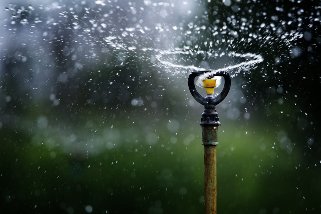 water sprinkler garden hose