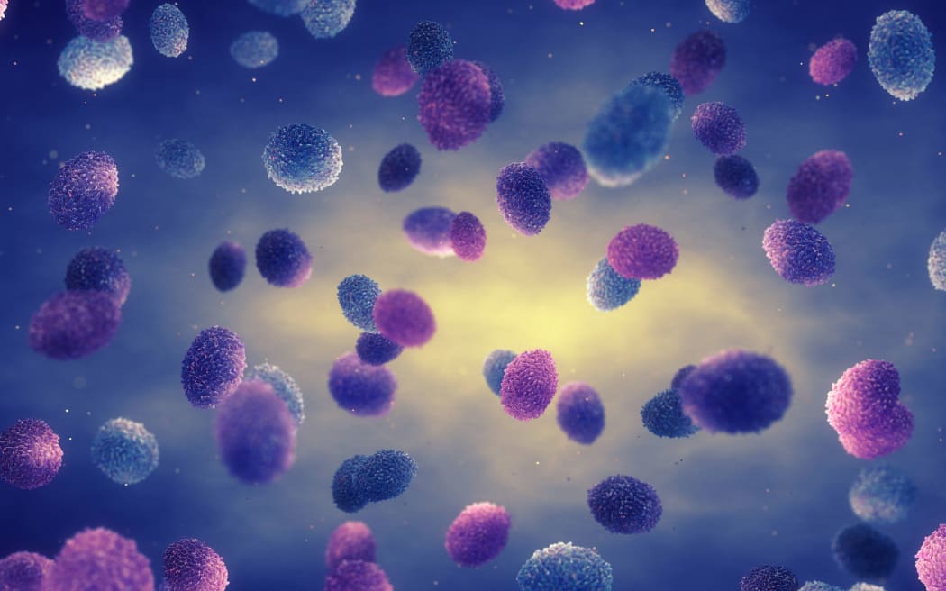 Monkeypox virus particles, illustration. Monkeypox is a zoonotic virus from the Poxviridae family that causes monkeypox, a pox-like disease. At the centre of the monkeypox virus is a core nucleoprotein that contains the DNA (deoxyribonucleic acid) genome. This is surrounded by an outer envelope that is covered with surface tubules. This virus, which is found near rainforests in Central and West Africa causes disease in humans and monkeys, although its natural hosts are rodents. It is capable of human to human transmission. In humans it causes fever, swollen glands and a rash of fluid-filled blisters. (Photo by NOBEASTSOFIERCE/SCIENCE PHOTO LI / DDJ / Science Photo Library via AFP)