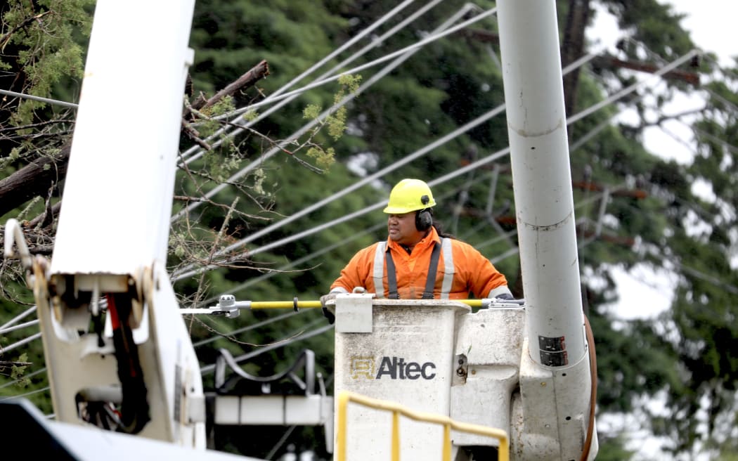 Road crews work to clear fallen trees in Kumeū, Auckland.