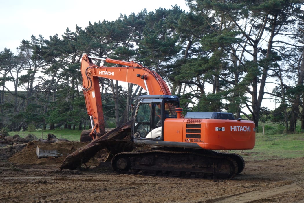 Digger unearthing ancient kauri.