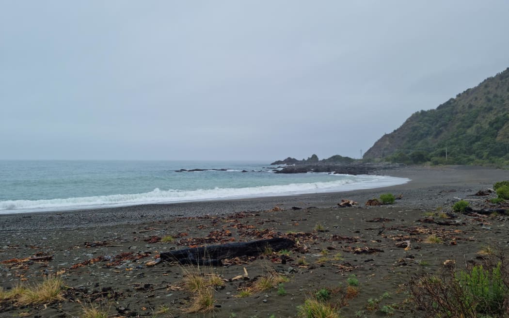 Kaikōura boat tragedy Photography society pays tribute to five dead