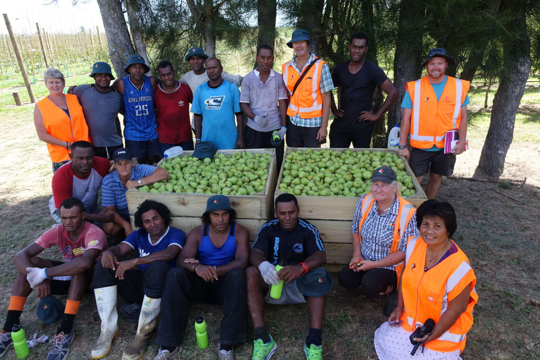Fiji embraces seasonal work opportunities in NZ RNZ