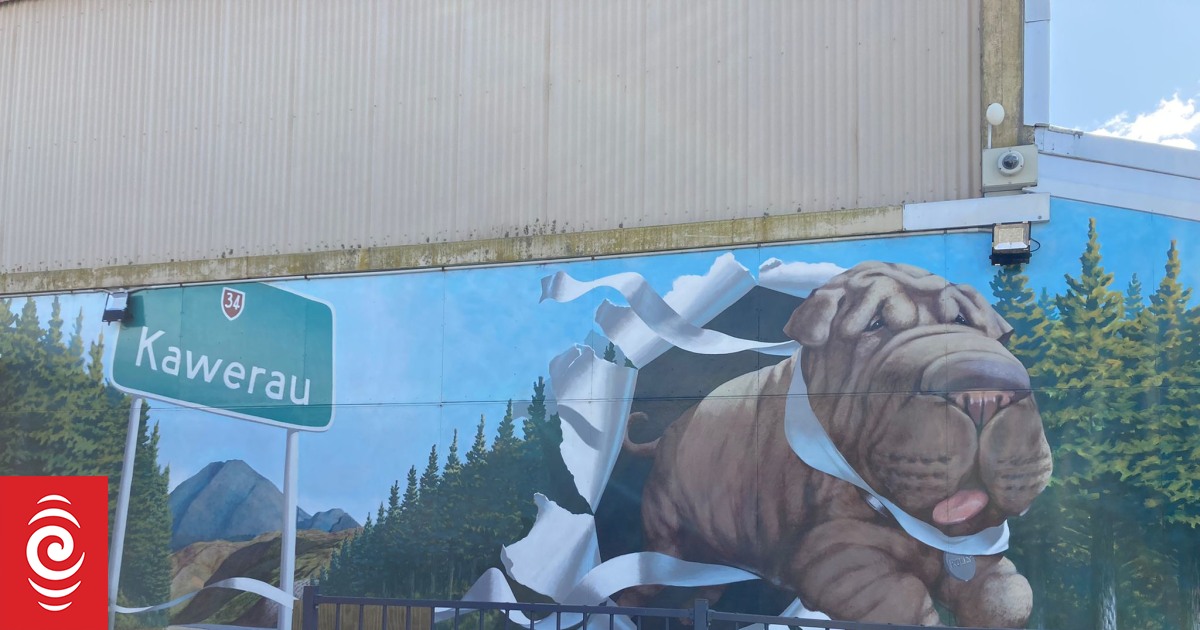 Kawerau community struggling with Essity Paper Mill strike RNZ