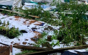 A glasshouse in Motueka was ripped apart by a twister, which also dislodged the support posts in an old wooden glasshouse.