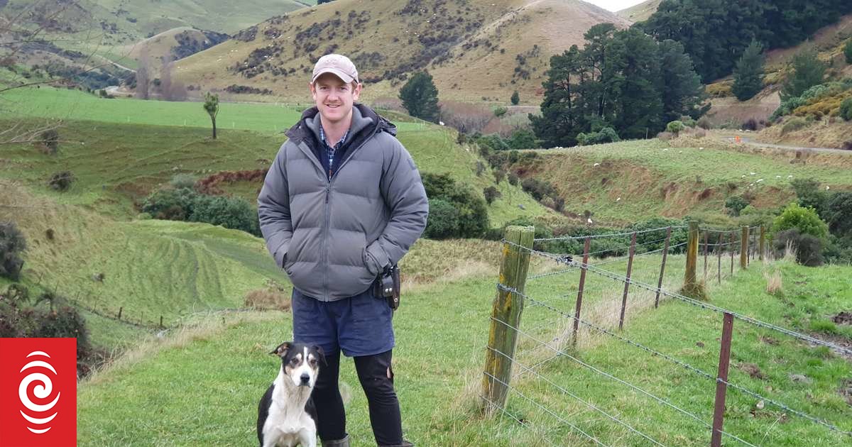 NZ farm dogs selected for Trans-Tasman top dog contest - Vimarsana News