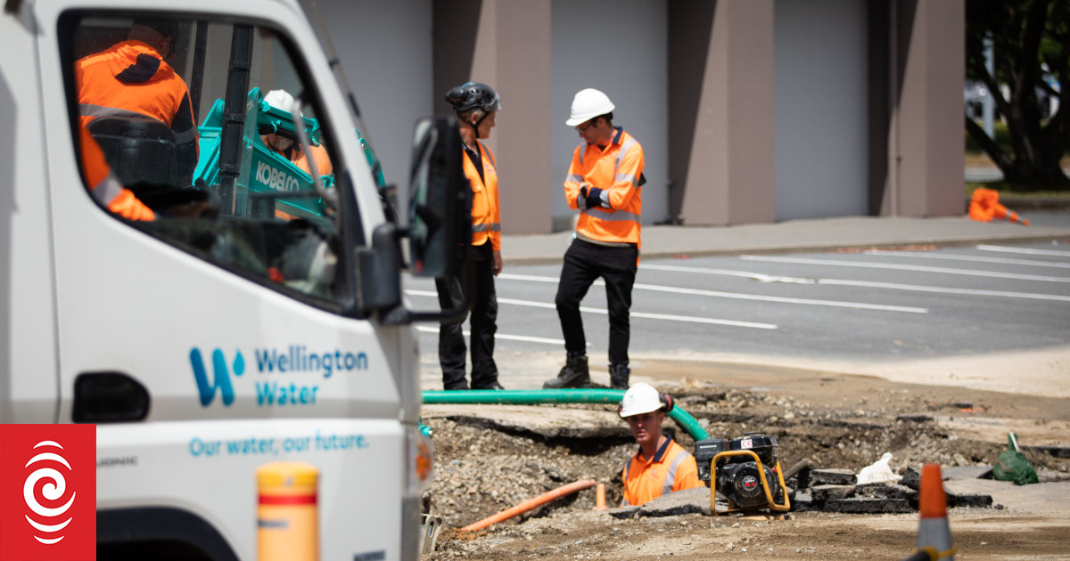 Wellington City Council turns down m funding request for water network repairs