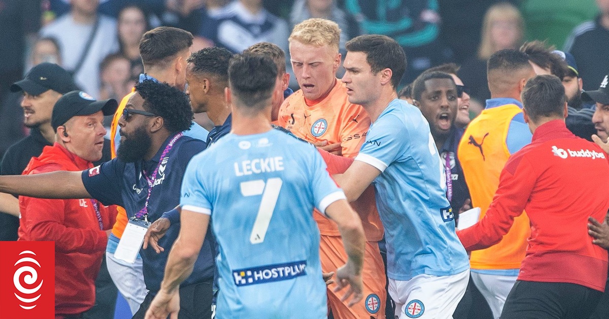 A-League pitch invader jailed for 3 months - Vimarsana News
