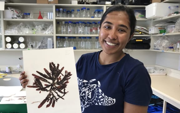 Namrata Chand holds up a pressing of the red seaweed she studies - Adamsiella chauvinii.