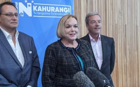 Judith Collins at the National Party conference in Auckland