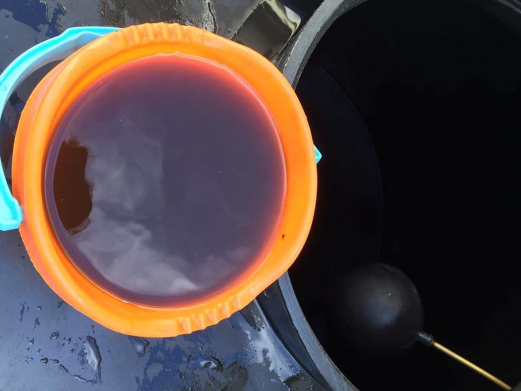 A bucket showing Kaeo's tap water.