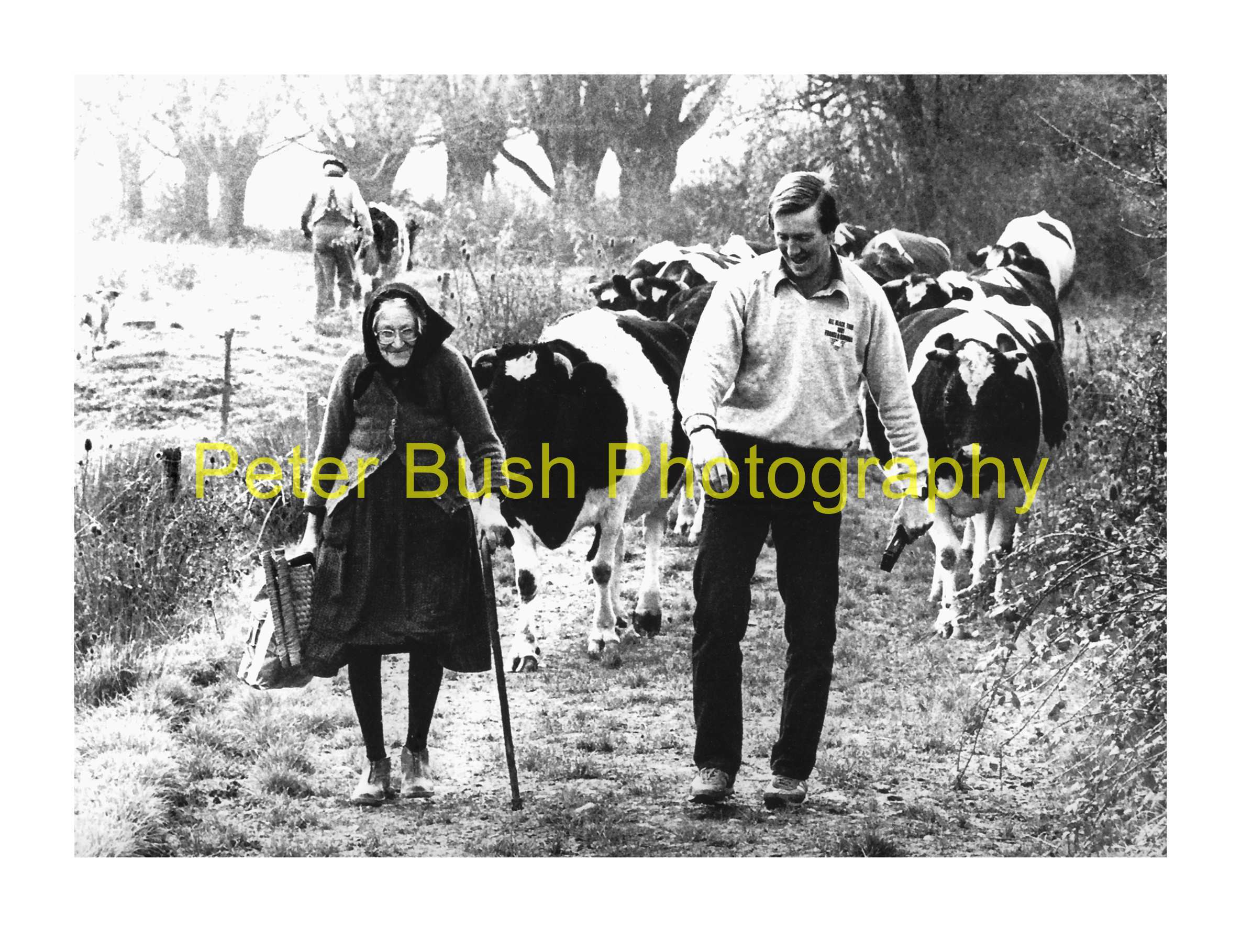 Efforts to preserve photographer Peter Bush's life's work | RNZ