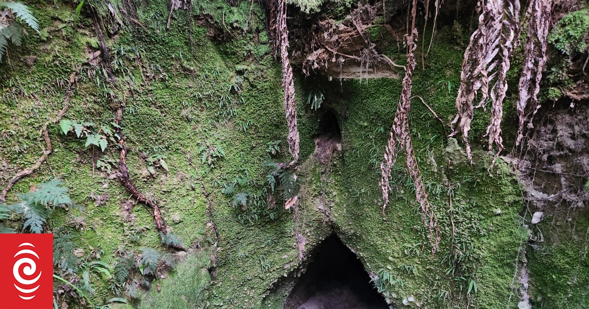 Ngā kura huna - on a path to hidden treasure at Opepe - Vimarsana News