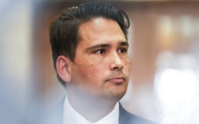 Simon Bridges will stand for National Party leader.