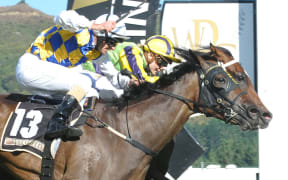 Fanatic and Sophia Rosa contest the New Zealand Oaks at Trentham in March