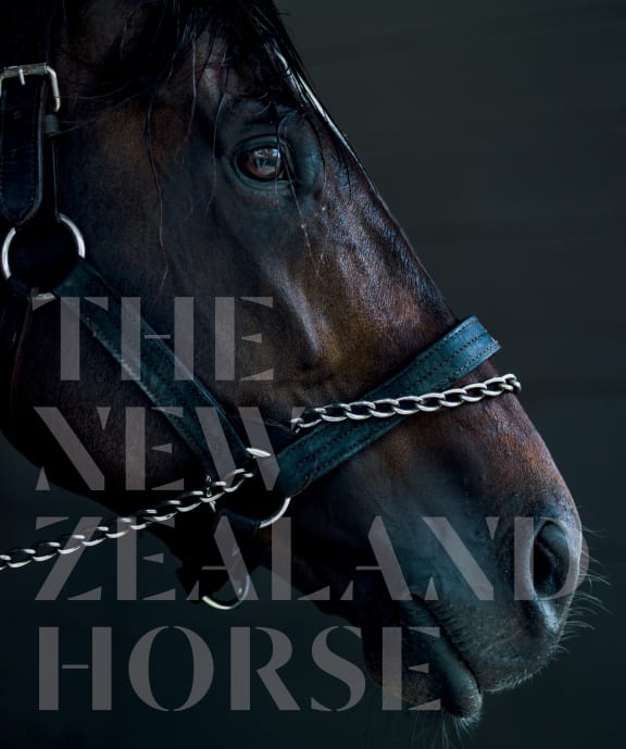 The New Zealand Horse by Deborah Coddington and Jane Ussher