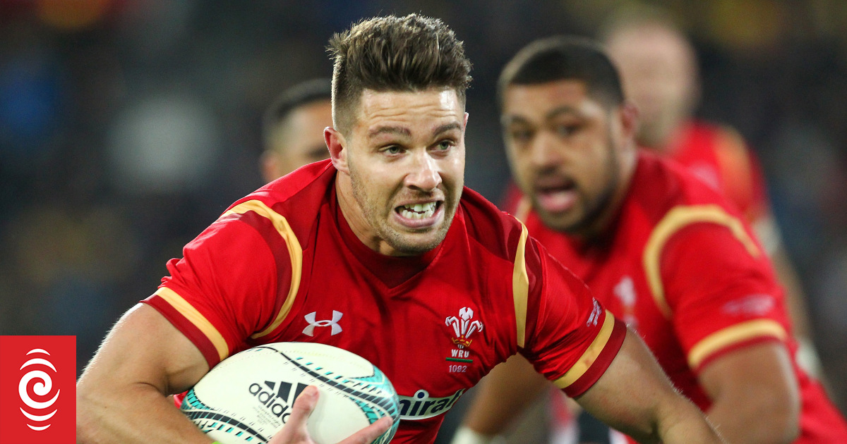 Webb quits Wales 100 days before World Cup