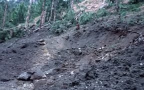 A view of damage caused to trees in hilly terrain after Indian air force dropped their payload in Balakot area, according to a Pakistan military spokesperson.