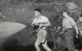 Spraying weed killer on gorse in 1954