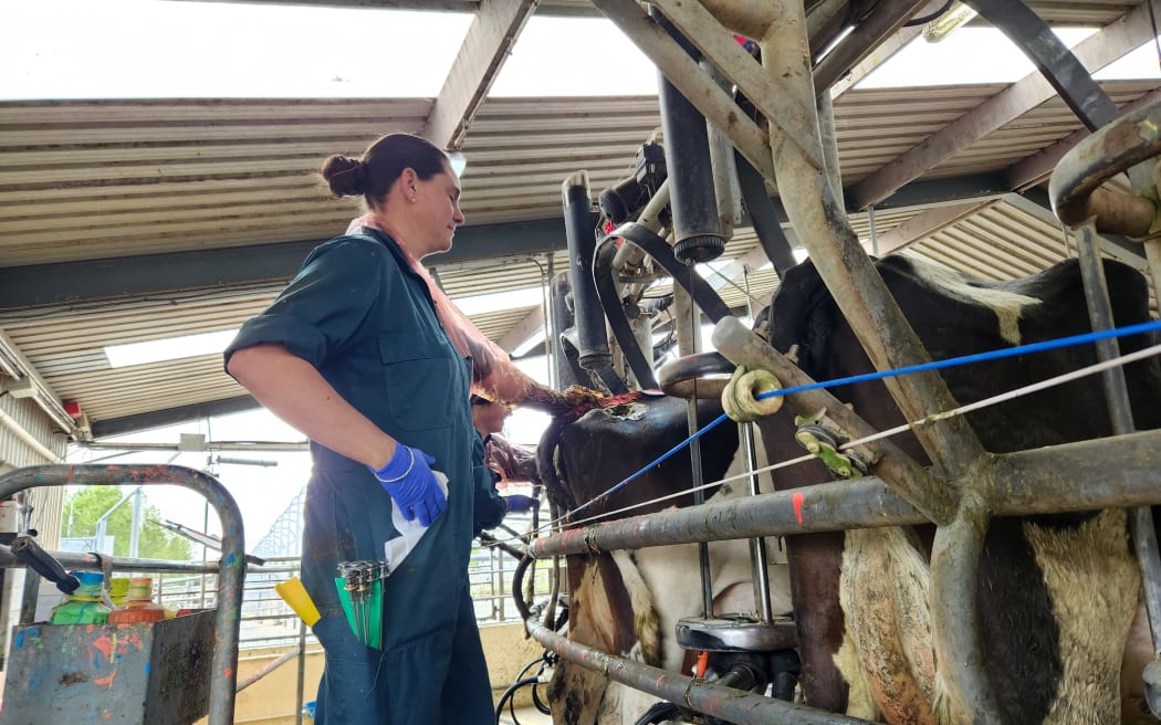 On the Farm RNZ