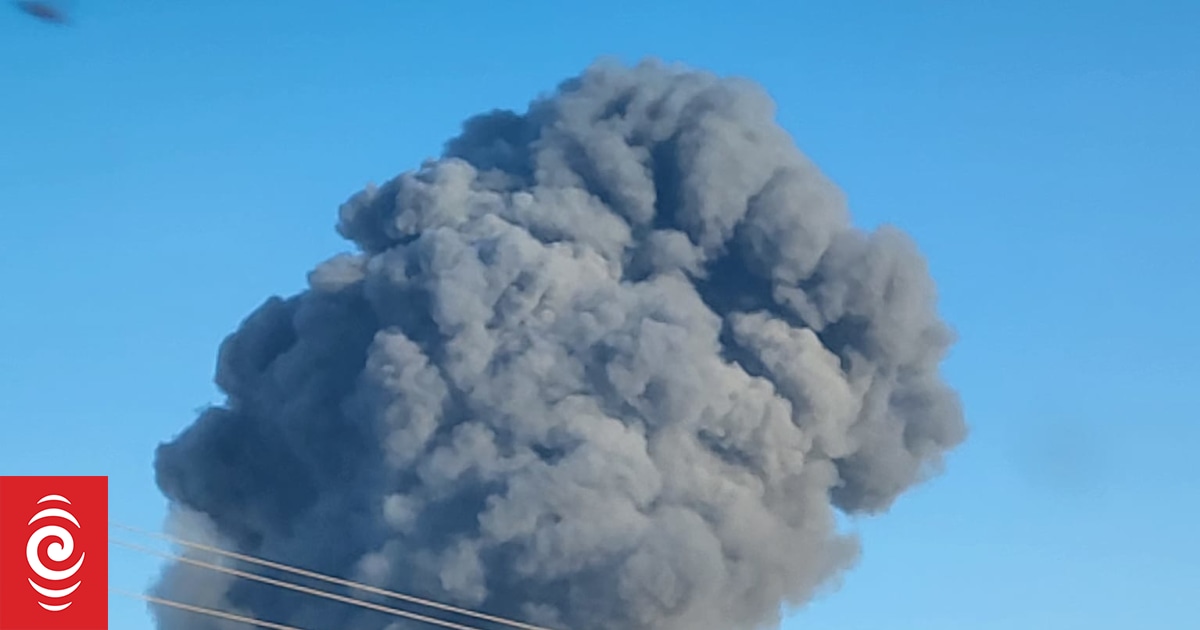 Texas dairy farm explosion kills 18,000 cows RNZ News