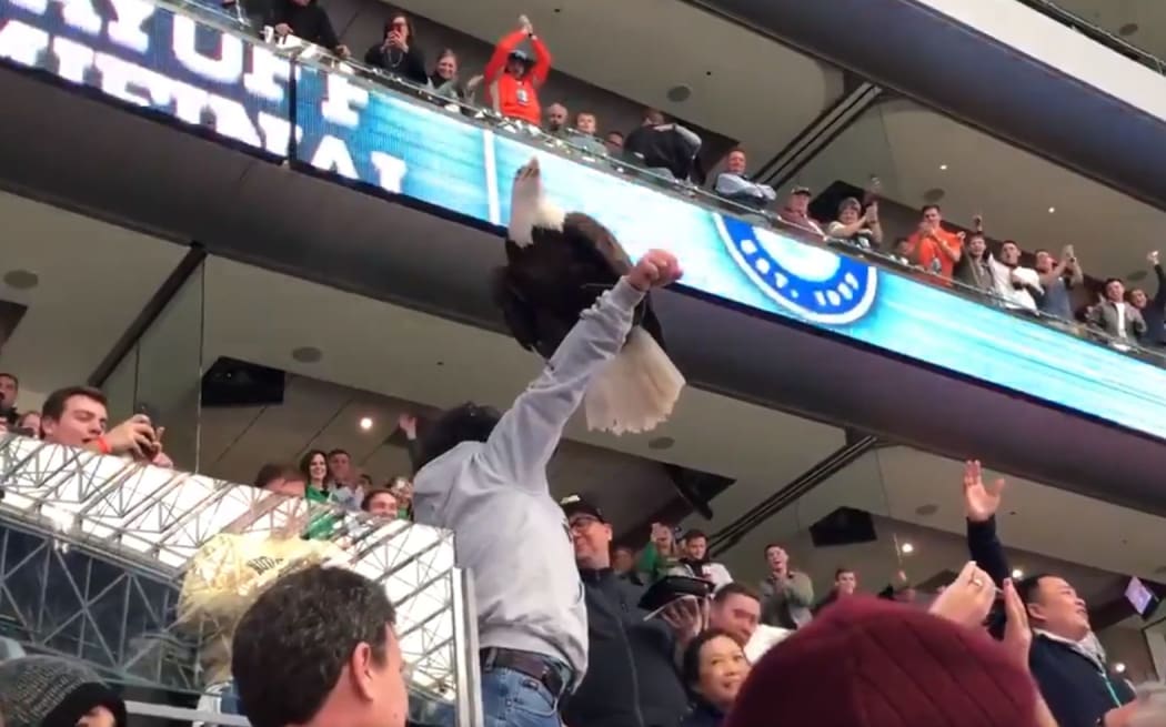 An eagle named Clark made an unexpected entry to a College Football match in the USA.