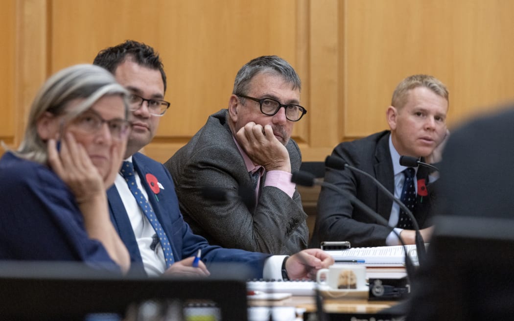 Reimagining Parliament RNZ