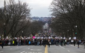 Demonstrators march to the Capitol in protest of President Donald Trump's immigration policies on January 29.